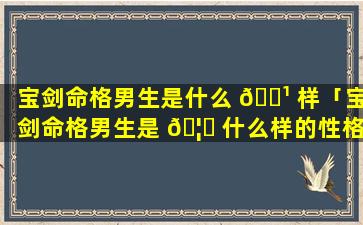 宝剑命格男生是什么 🌹 样「宝剑命格男生是 🦍 什么样的性格」